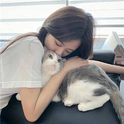 胡杨的夏天